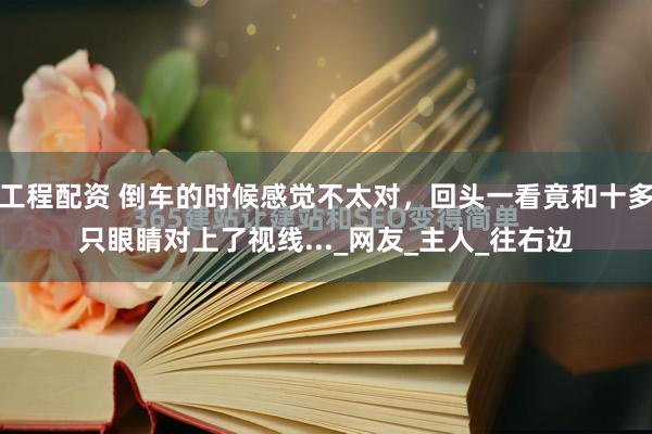 工程配资 倒车的时候感觉不太对,回头一看竟和十多只眼睛对上了视线..._网友_主人_往右边