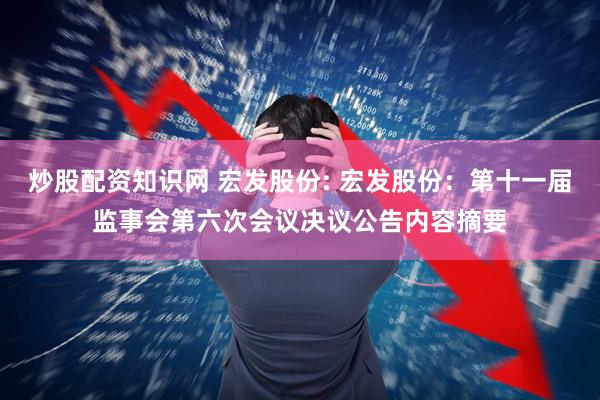 炒股配资知识网 宏发股份: 宏发股份:第十一届监事会第六次会议决议公告内容摘要