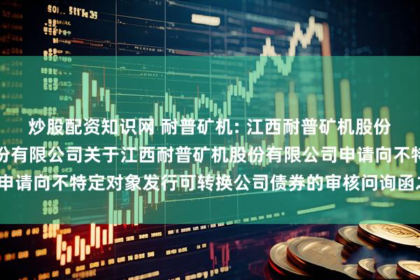 炒股配资知识网 耐普矿机: 江西耐普矿机股份有限公司与国金证券股份有限公司关于江西耐普矿机股份有限公司申请向不特定对象发行可转换公司债券的审核问询函之回复(修订稿)